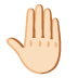 :raised_back_of_hand:t2: