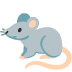 :rat: :rat: