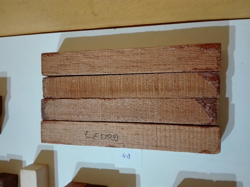 IMG_20191128_010104-1