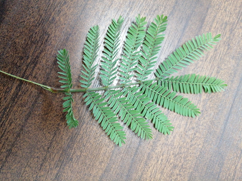 15924652250921662278085478007801