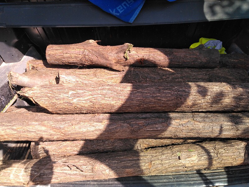 IMG_20180508_111953_857