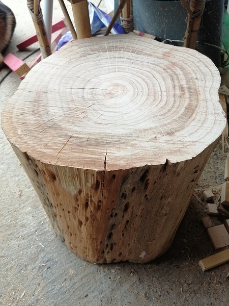 Qué madera es este tronco - Maderas y otros materiales - Foromadera