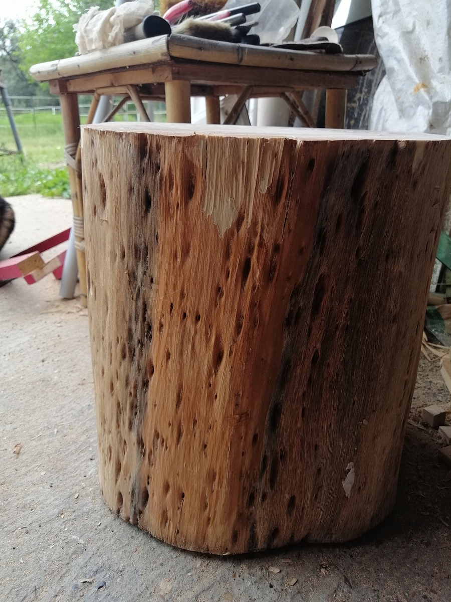 Qué madera es este tronco - Maderas y otros materiales - Foromadera