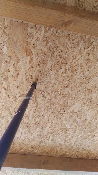 P_20180722_091751_HDR