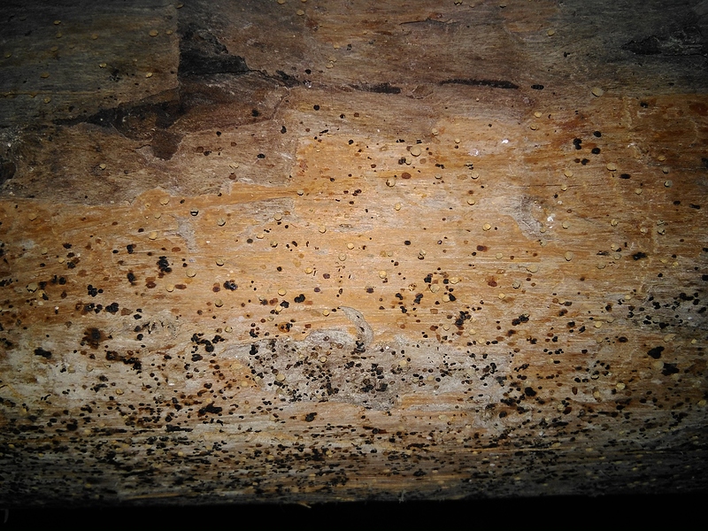 IMG_20210606_202039_664