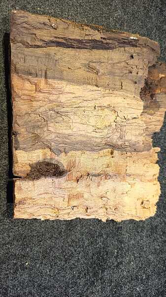 WhatsApp Image 2025-12-24 at 01.13.51