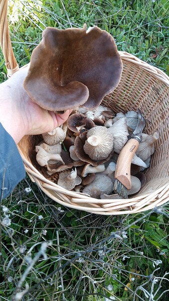 IMG-20231027-WA0006