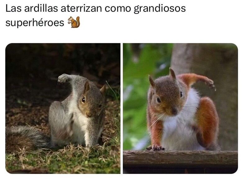 Ardillas superheroes