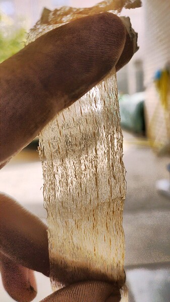 imagen_2025-10-14_211415142