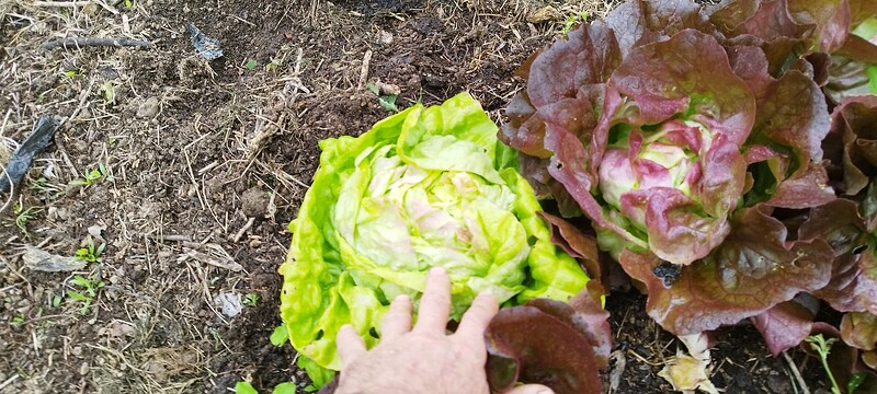 Screenshot_2024-06-15-15-01-57-549_com.miui.gallery