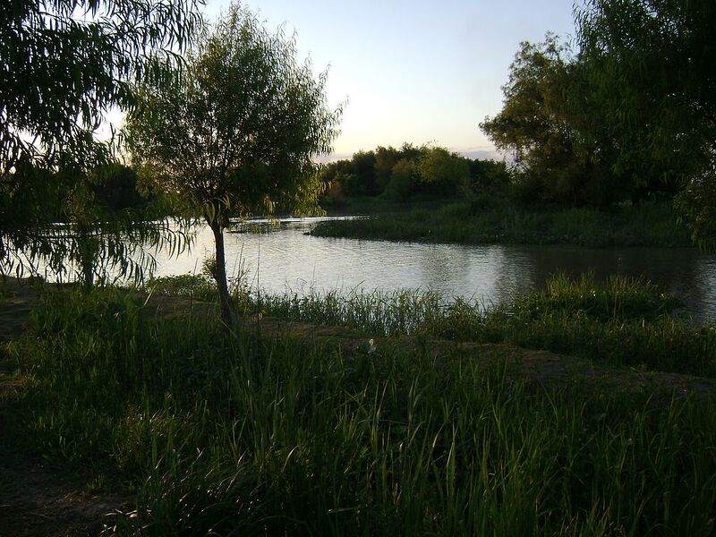 DSC01220