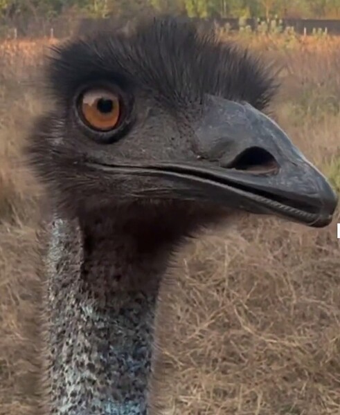 Screenshot_20240127_155740