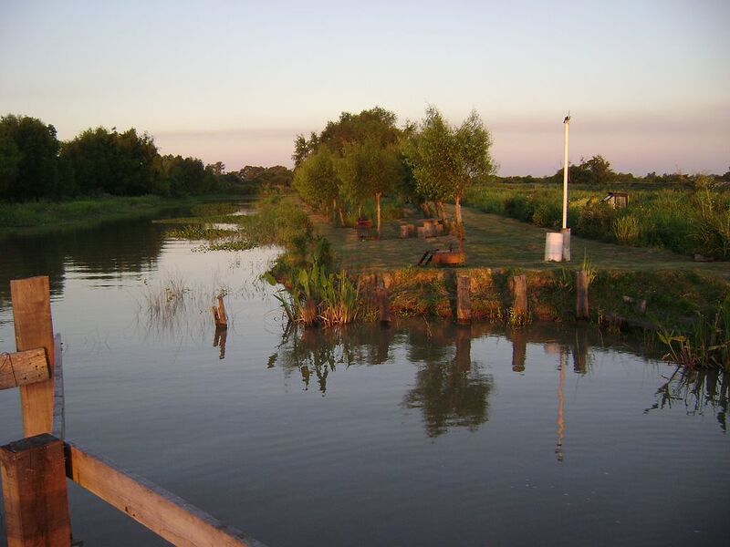 DSC01236