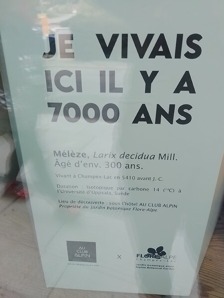 1000003979