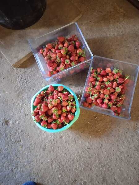 IMG-20230504-WA0009