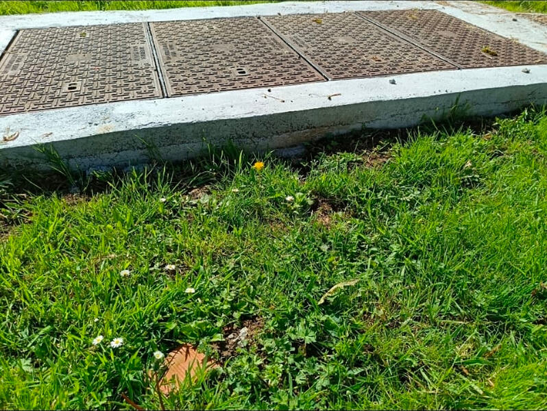 Screenshot_20260321_195930_WhatsApp