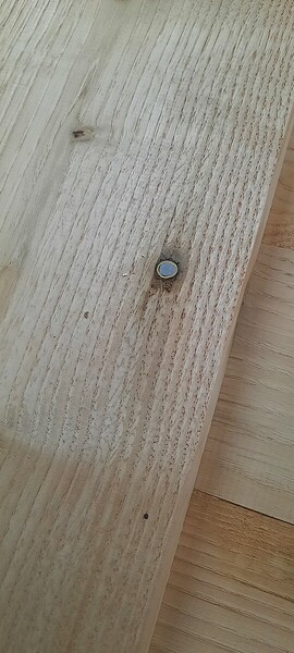 f1aeabc200cd5be04915b3d239c8798ba983439c_2_540x1200