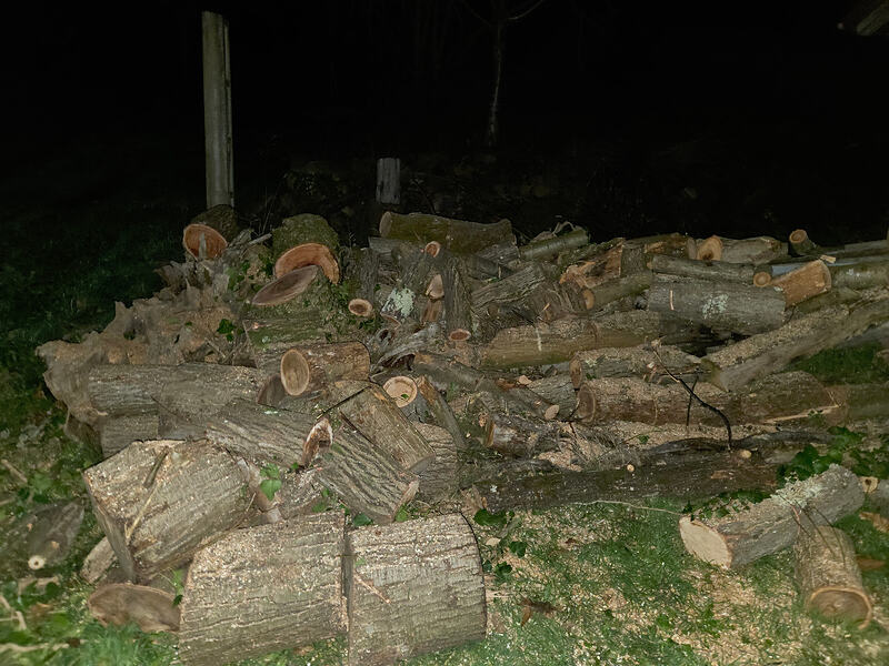 c5a1868f-6c97-4cb7-a68e-e222cb7ba446-1_all_10147