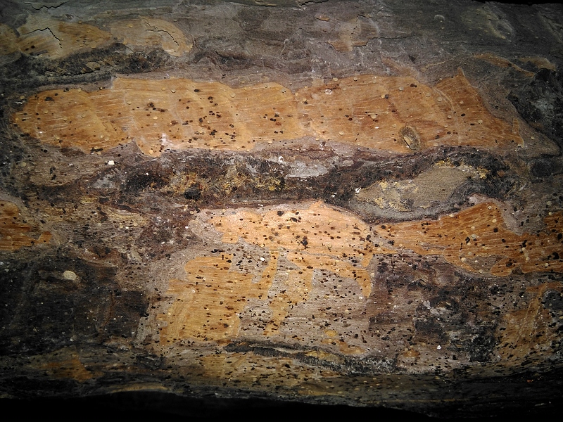 IMG_20210606_202025_317