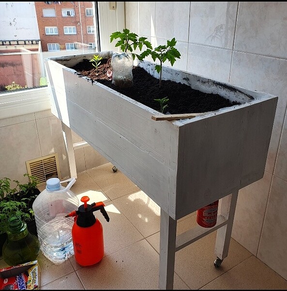 SmartSelect_20220510-134253_Gallery