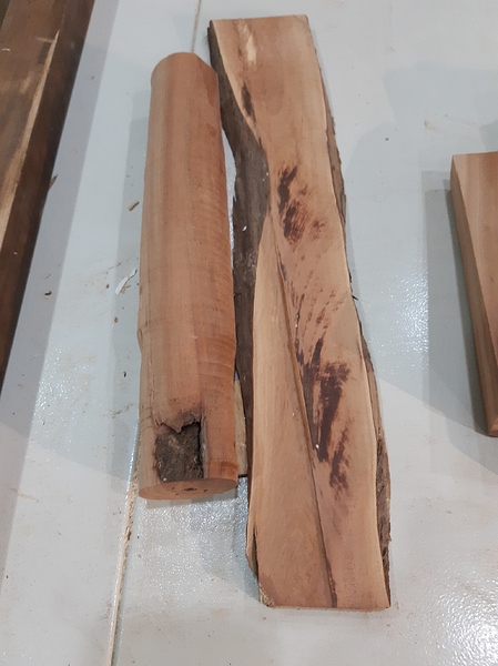 16430591696225301728836356081061