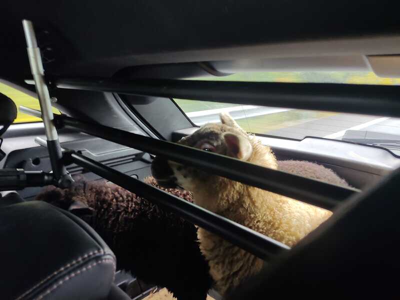 e5c01aae-7551-4832-bb39-cb27f51debaa