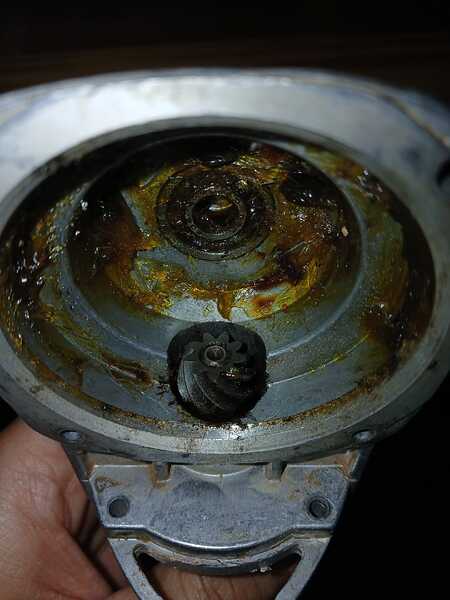 WhatsApp Image 2026-04-22 at 11.11.01