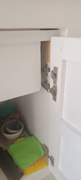 1000046568