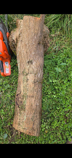 c5a1868f-6c97-4cb7-a68e-e222cb7ba446-1_all_10732