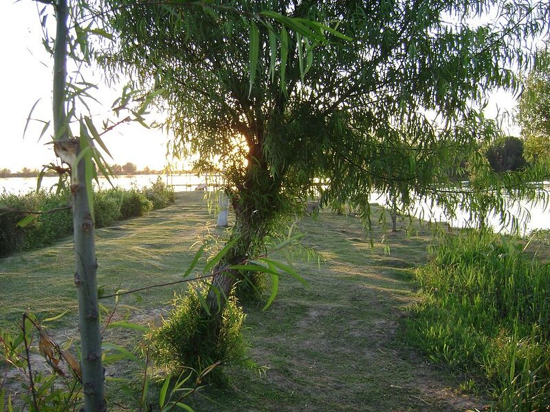 DSC01222