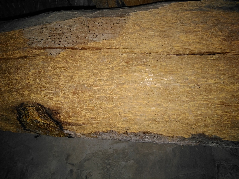 IMG_20210606_202111_988