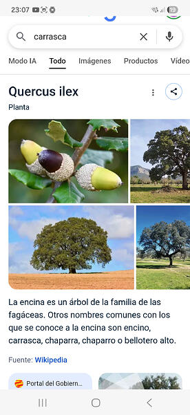 Screenshot_20251211_230750_Samsung Internet