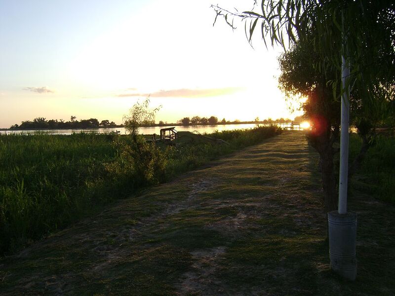 DSC01217