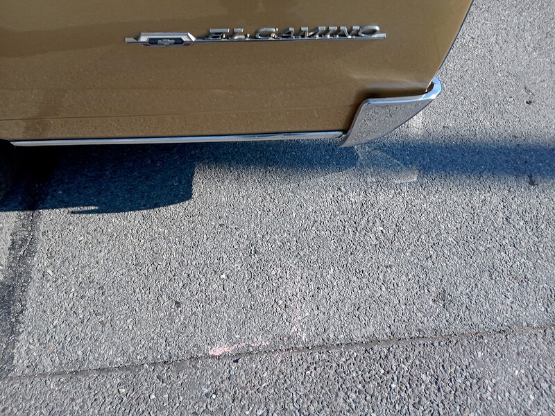 IMG_20220306_111651_MP