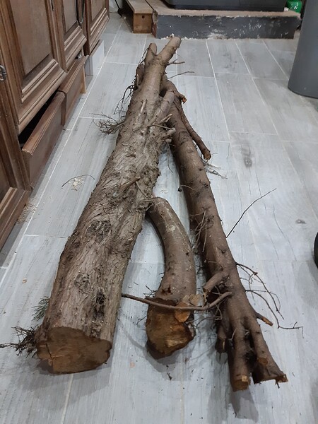 1648465088327243907392965458239