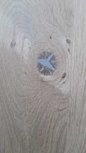 IMG-20210415-WA0012