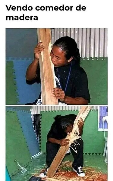 CC_2798683_978fe3dfe14a4f74bfd8b57582c3281b_meme_otros_hay_hambre_2