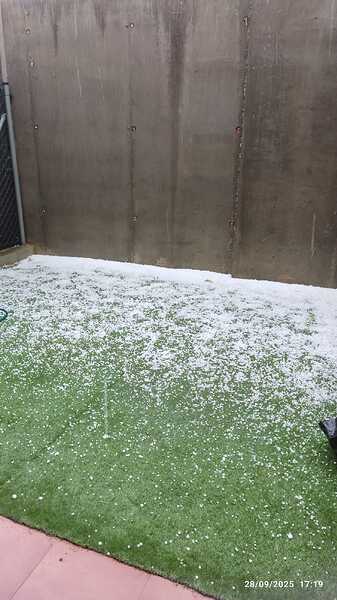 IMG-20250928-WA0013
