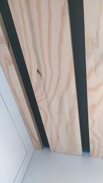 IMG-20230427-WA0003