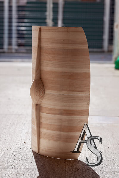 El escudo con la espina.