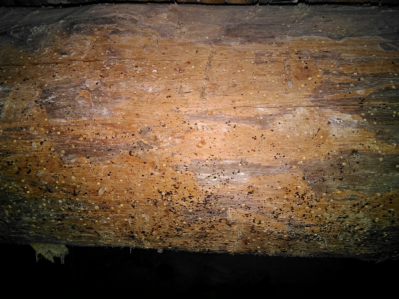 IMG_20210606_202057_402