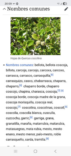 Screenshot_20251212_200929_Samsung Internet
