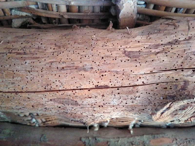 IMG_20210606_202014_770