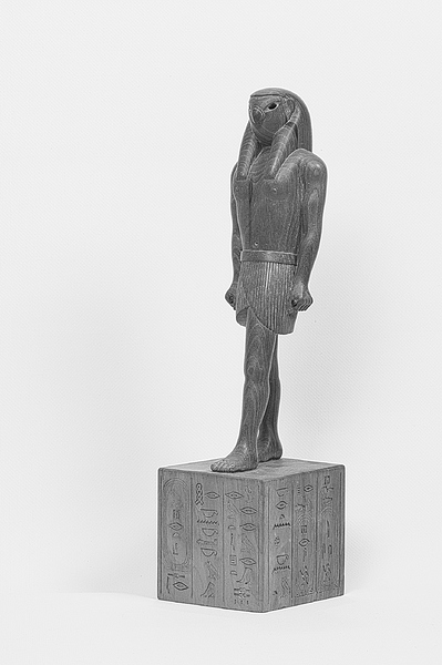 49686792198_d91c523c1c_o