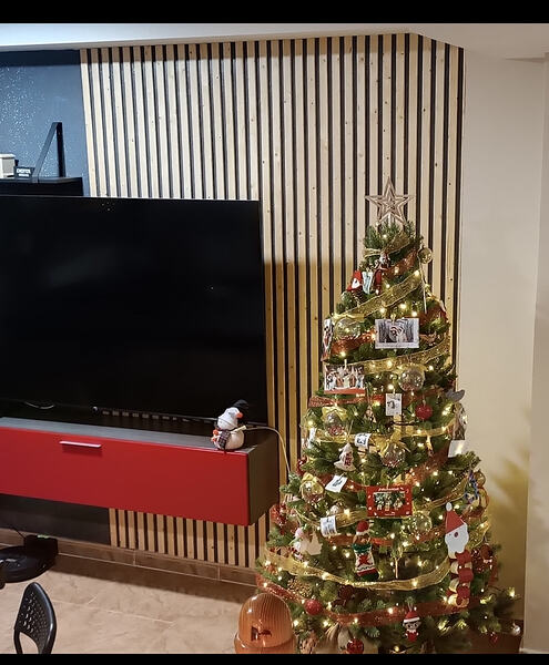 Screenshot_2026-01-05-22-26-51-074_com.miui.gallery-edit