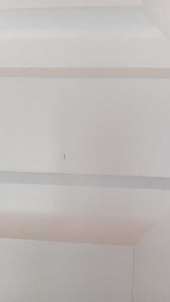 IMG-20250302-WA0005