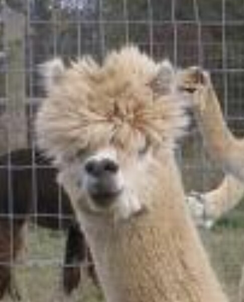 Screenshot_20231103_164918