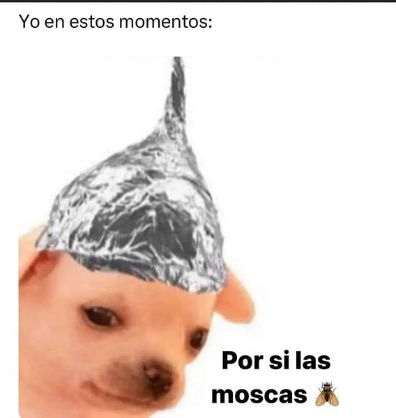 FB_IMG_1679648644715