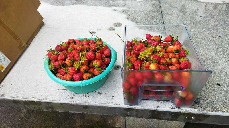 IMG-20230507-WA0004