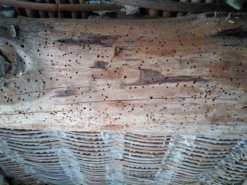 IMG_20210606_202130_329